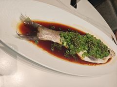 -新光酒家·河豚·海鲜·蟹料理(浦东店)