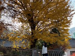 -径山寺