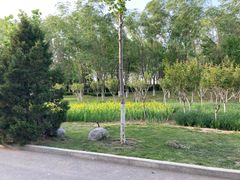 -东营·森林乐园