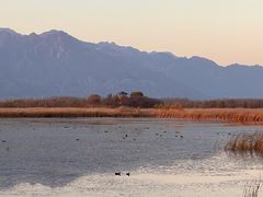 -野鸭湖国家湿地公园
