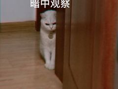 -黑皮酸菜鱼(三山街店)