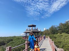 -北海金海湾红树林生态旅游区