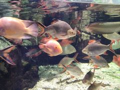 -太平洋海底世界