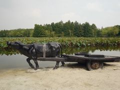 -紫薇公园