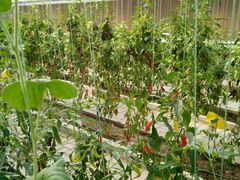 -兰陵国家农业公园