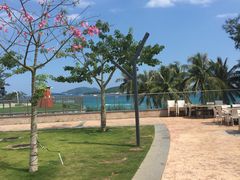 -亚龙湾中心广场