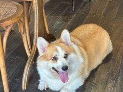 -肥朵食堂(带梦胡同店)