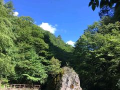 -黎坪国家森林公园