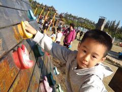 -上海长兴岛郊野公园