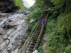 -青峰峡国家森林公园