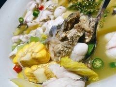 -青花椒花椒鱼(合生汇店)