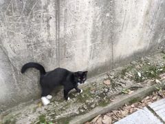 -宝通禅寺