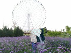 -泰山天颐湖旅游度假区