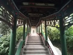 -迎泽公园