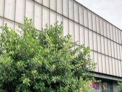 -Club Queen皇后酒吧