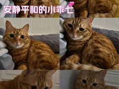 -新荟城(望京店)