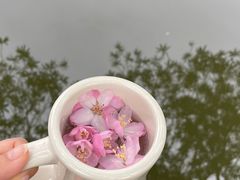 -上海长风大悦城