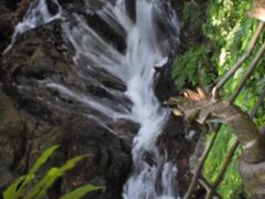 -莫里热带雨林景区