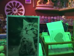 -星宿秘码(鼓浪屿老店)