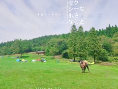 -武陵山森林公园