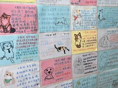 -瑞派中心宠物医院·CT·核磁·神经专科