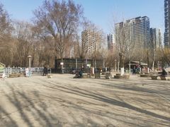 -长白岛森林公园