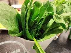 -红菇坊鲜汤火锅(北行店)