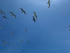 -海驴岛(荣成市)