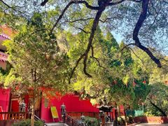 -神光山国家森林公园