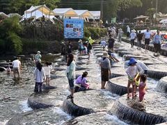 -看见远方·莫干遥远的山民宿