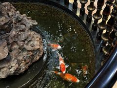 -福禧酒窖·中餐厅 (万柳店)