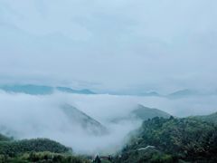 -江南天池