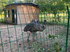 -长春世界雕塑园冰雪艺术天地