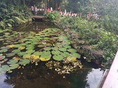 -海南热带野生动植物园