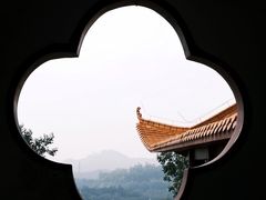 -深圳仙湖植物园