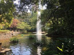 -九龙公园
