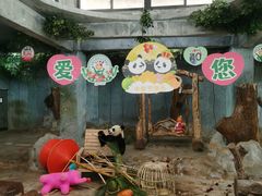-海南热带野生动植物园