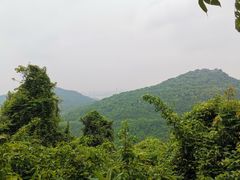 -九曜山