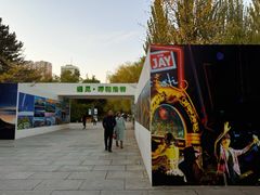 -青城公园
