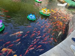 -荣国府