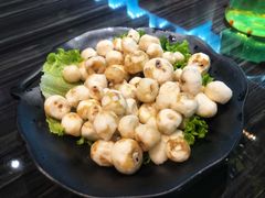 -东椰·海南椰子鸡火锅(朝阳门店)