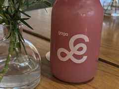 -gaga(深圳福田星河COCO Park店)