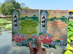-济南大明湖景区