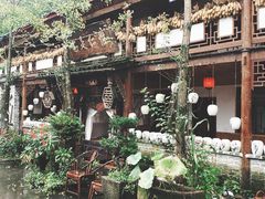 -青城甲(青城山店)