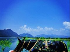 iphone_upload_pic-清东陵