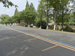 -羊山湖公园