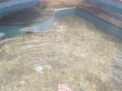 -芭东小镇温泉
