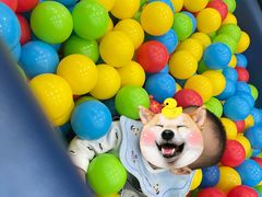 -美吉姆儿童发展中心(远洋中心店)