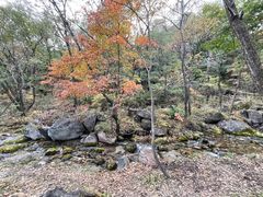-玉渡山自然风景区