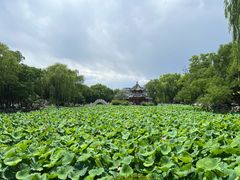 -莲池书院博物馆